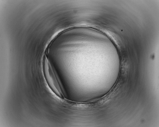 X0000098191476200805081036
