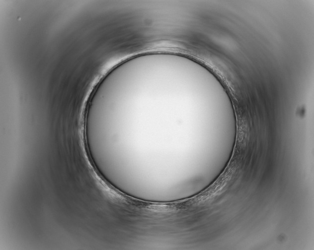 X0000098191478200805081036