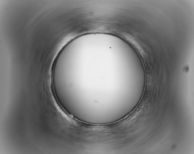X0000098191479200805081036