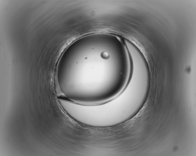 X0000098191481200805081036