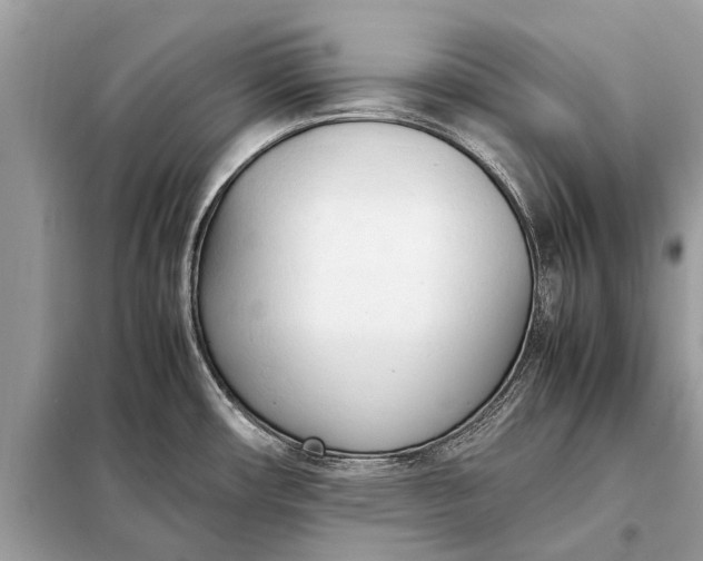 X0000098191482200805081036