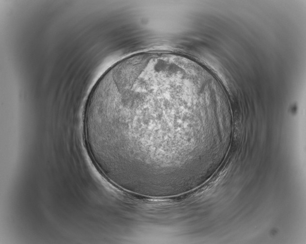 X0000098191483200805081036