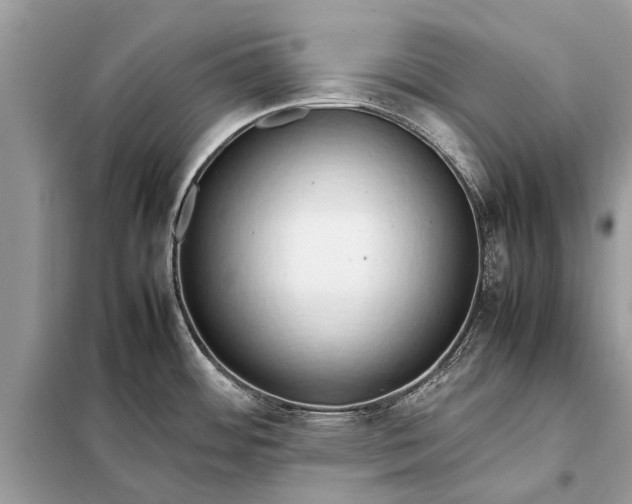 X0000098191484200805081036
