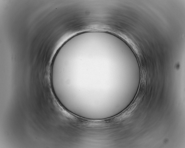X0000098191486200805081036