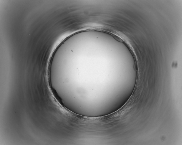 X0000098191488200805081036
