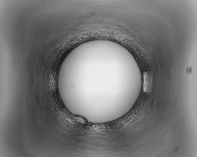 X0000098191491200805081035