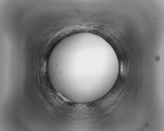 X0000098191492200805081035
