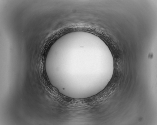 X0000098191493200805081035