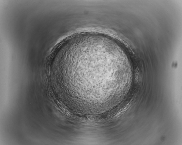 X0000098191494200805081035