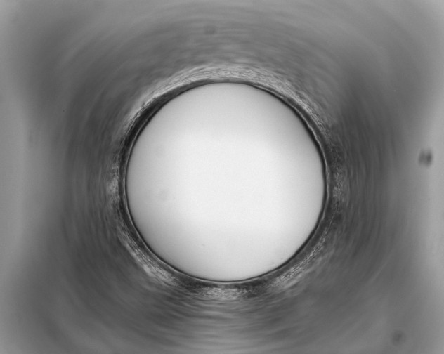 X0000098191499200805081035