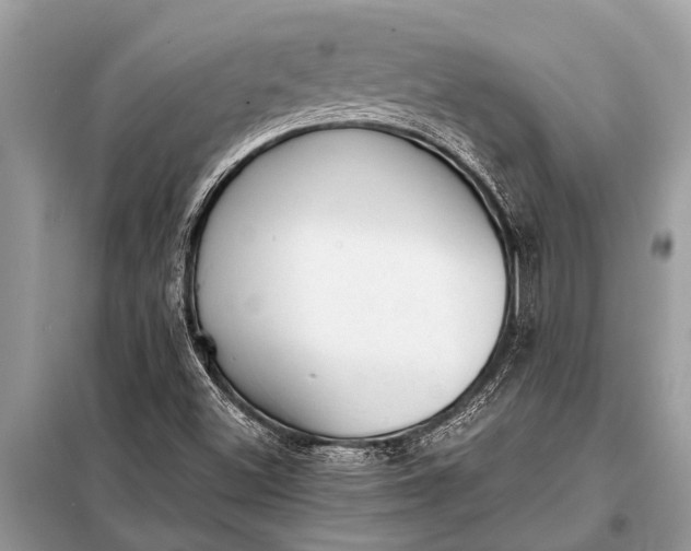 X0000098191500200805081035
