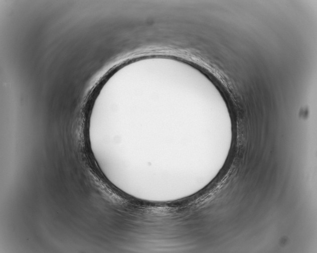 X0000098191502200805081035