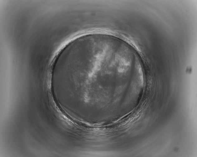 X0000098191504200805081035
