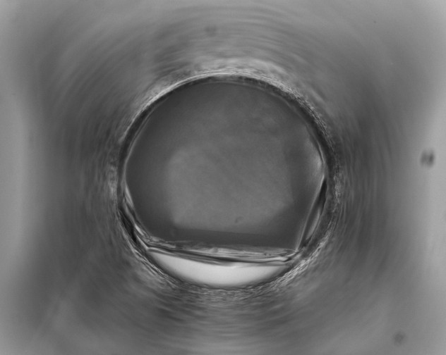 X0000098191505200805081035