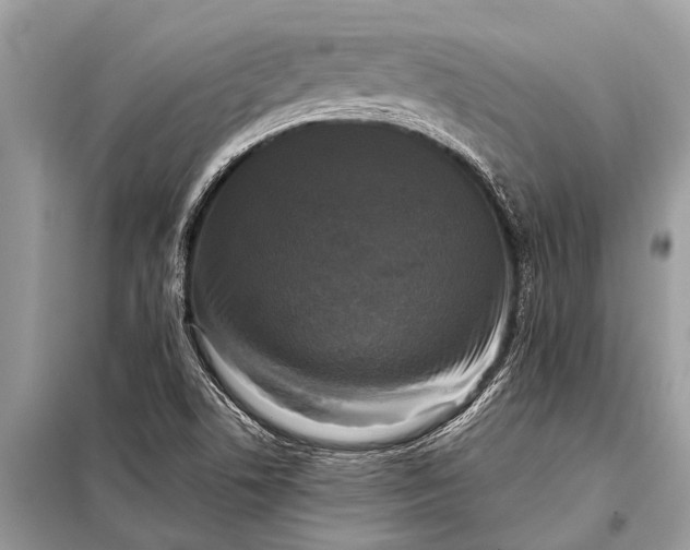 X0000098191506200805081035