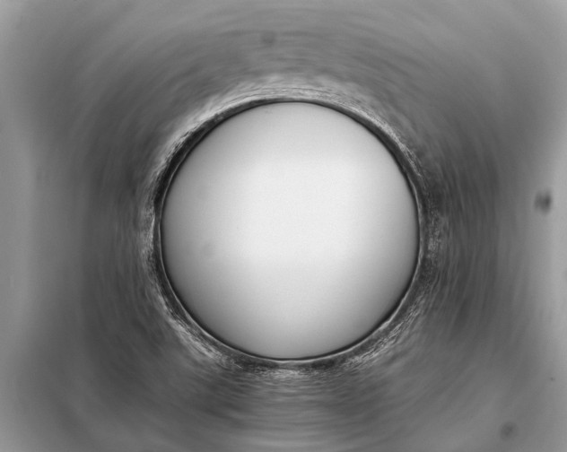 X0000098191507200805081035