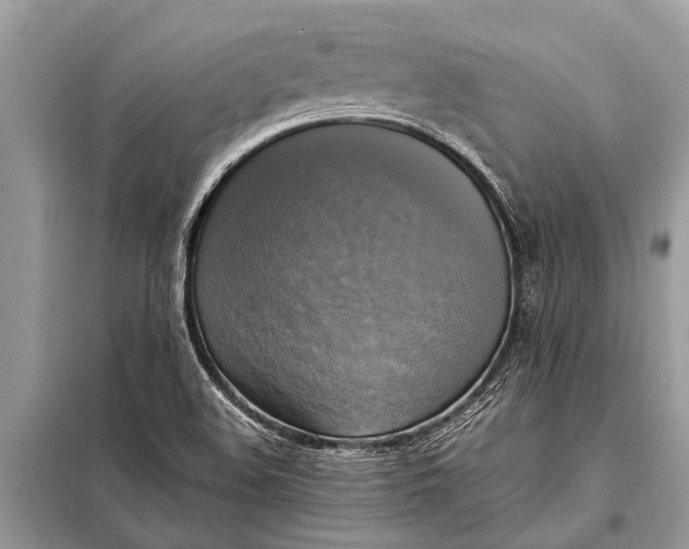 X0000098191508200805081035