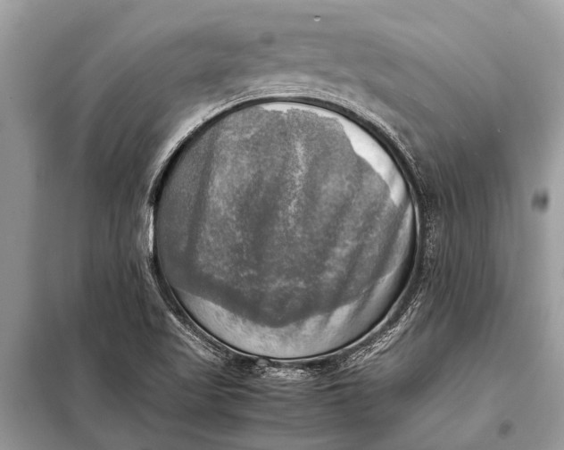 X0000098191509200805081035