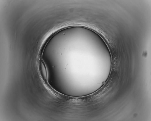 X0000098191511200805081035