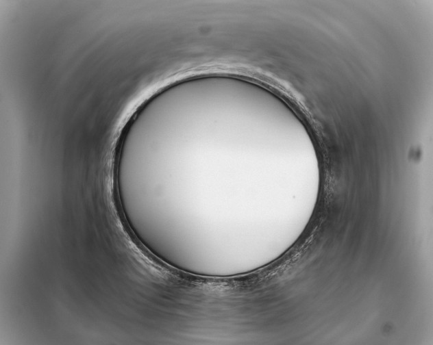 X0000098191512200805081035