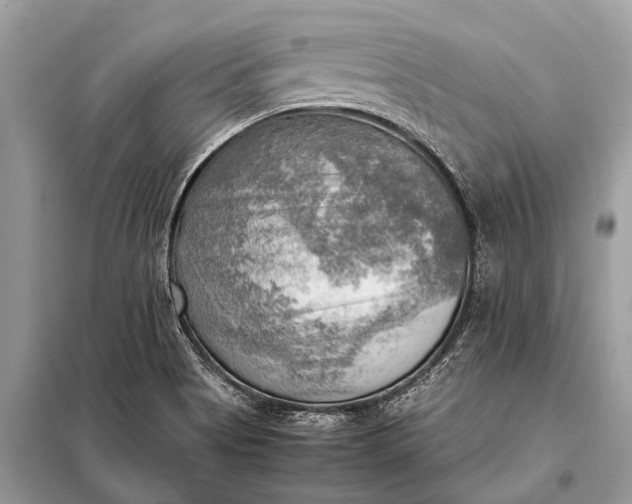 X0000098191513200805081035