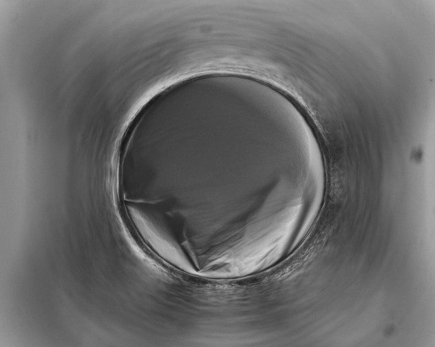 X0000098191515200805081035