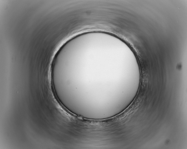 X0000098191516200805081035