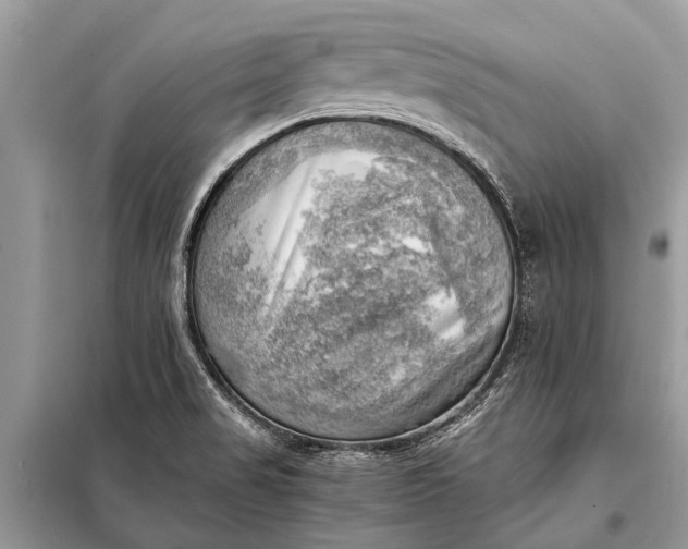 X0000098191517200805081035