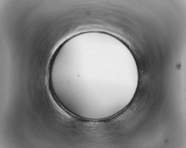 X0000098191518200805081035