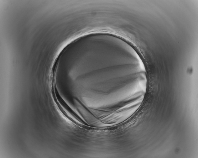 X0000098191519200805081035