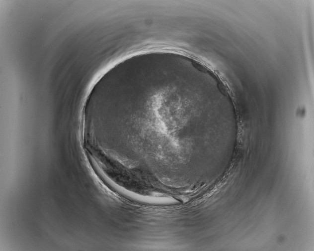 X0000098191520200805081035