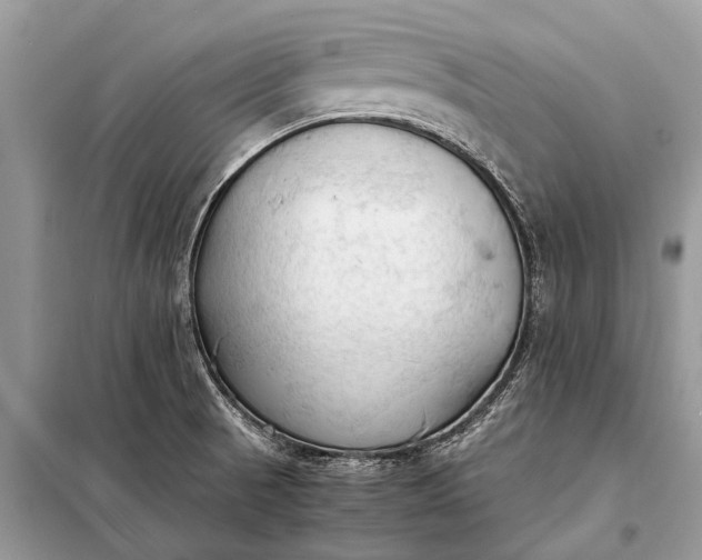 X0000098191521200805081035
