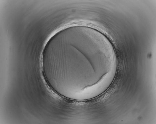 X0000098191522200805081035