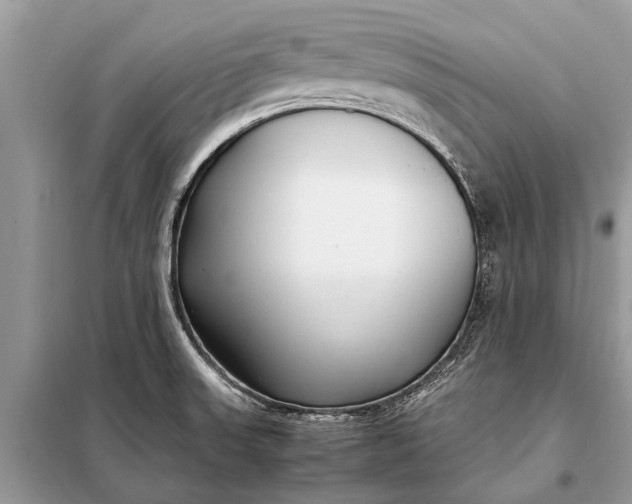 X0000098191523200805081036