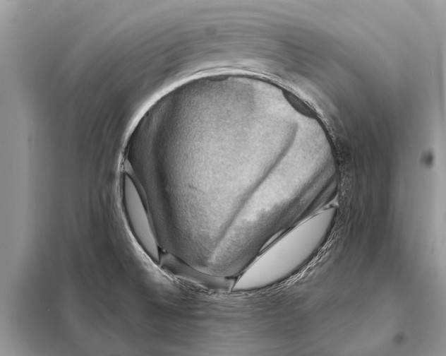 X0000098191524200805081036