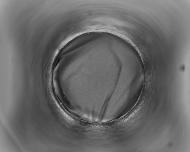 X0000098191525200805081036
