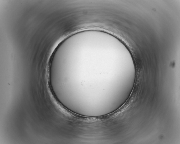 X0000098191526200805081036