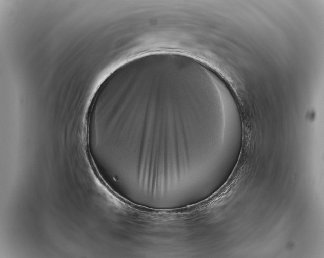 X0000098191527200805081036