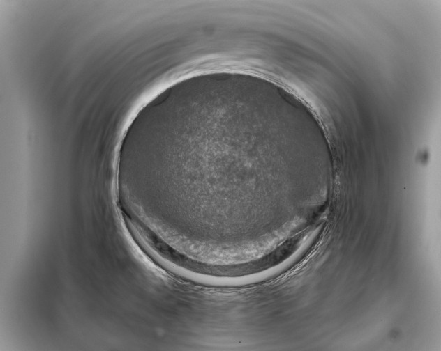 X0000098191528200805081036