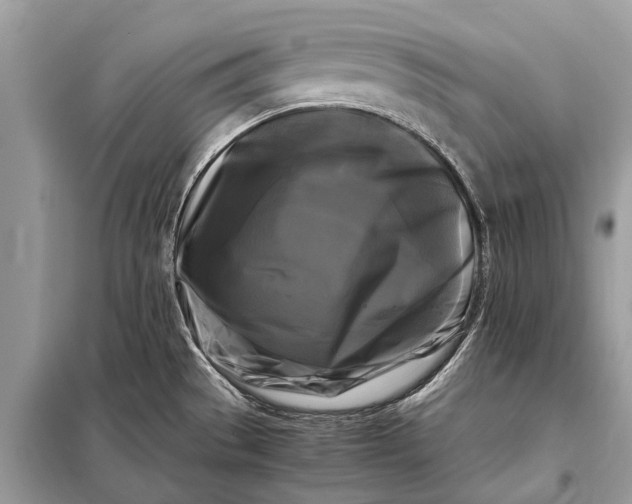 X0000098191529200805081036