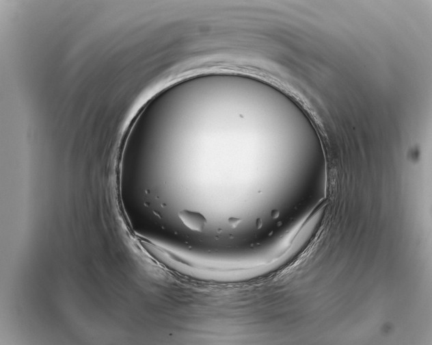 X0000098191530200805081036
