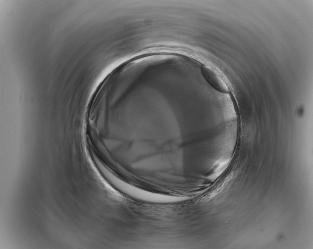 X0000098191533200805081036