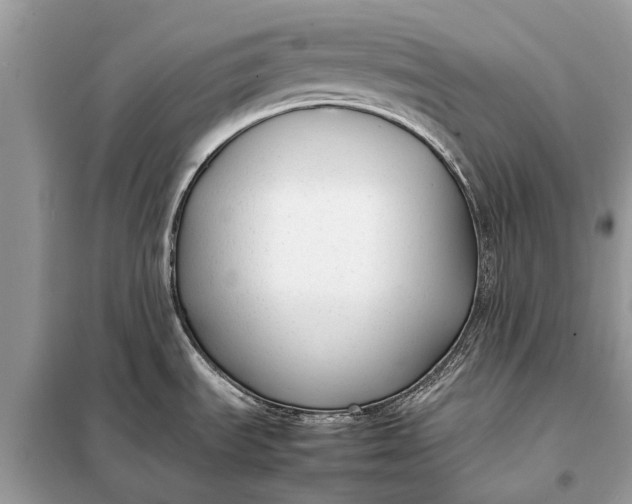 X0000098191535200805081036