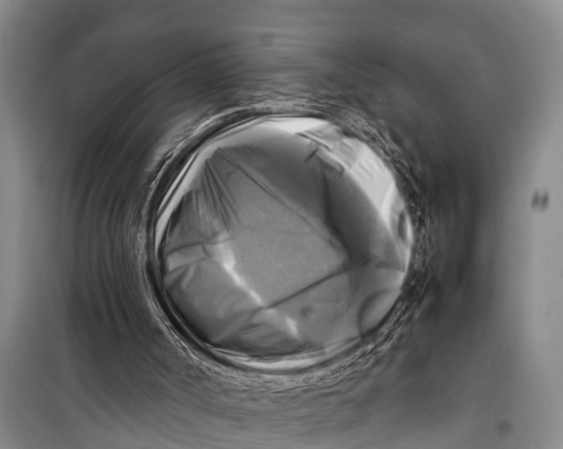 X0000098190002200805151216