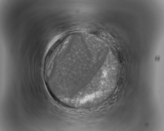 X0000098190003200805151216