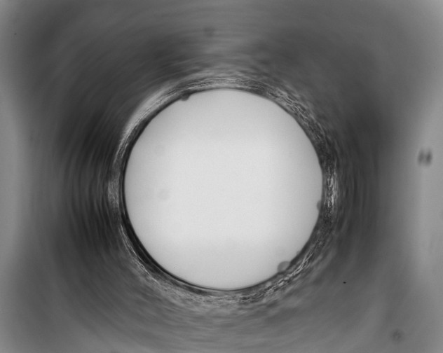 X0000098190004200805151216