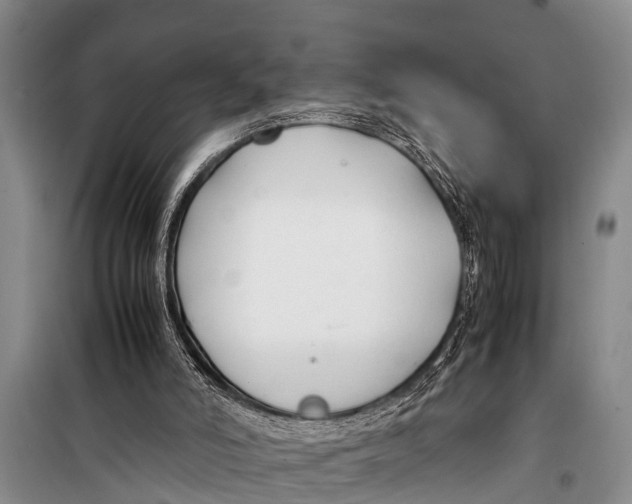 X0000098190006200805151216