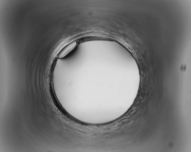 X0000098190007200805151216