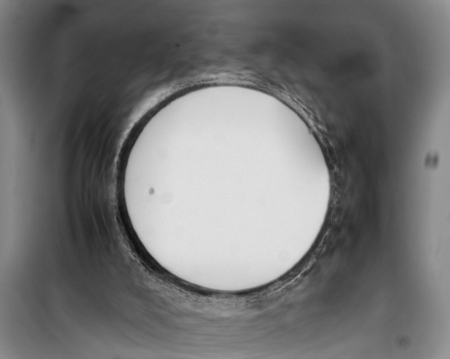 X0000098190008200805151216