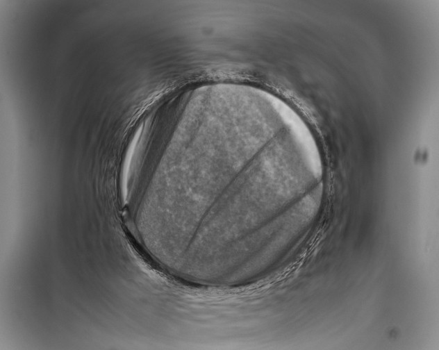 X0000098190009200805151216